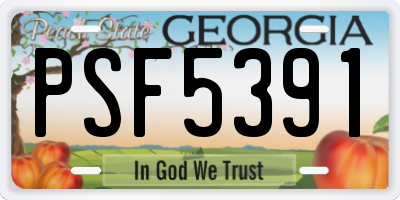 GA license plate PSF5391