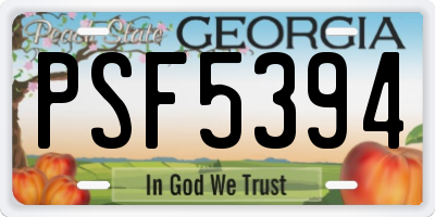 GA license plate PSF5394