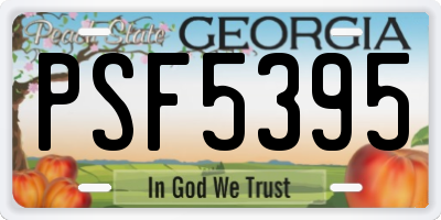 GA license plate PSF5395
