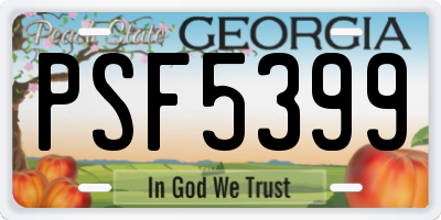 GA license plate PSF5399