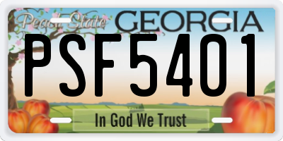 GA license plate PSF5401