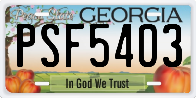 GA license plate PSF5403