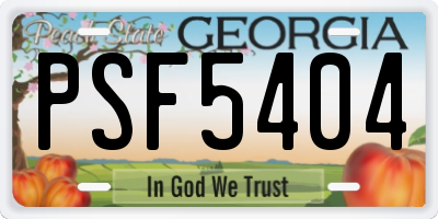 GA license plate PSF5404