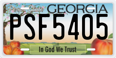 GA license plate PSF5405