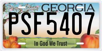 GA license plate PSF5407
