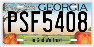 GA license plate PSF5408