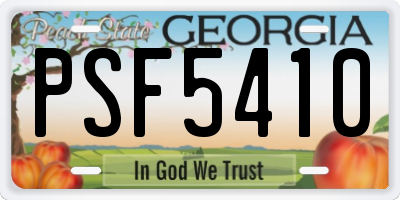 GA license plate PSF5410