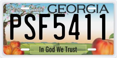 GA license plate PSF5411