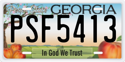 GA license plate PSF5413