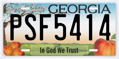 GA license plate PSF5414