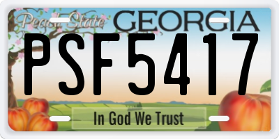 GA license plate PSF5417