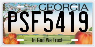 GA license plate PSF5419
