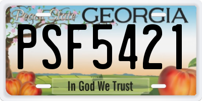 GA license plate PSF5421