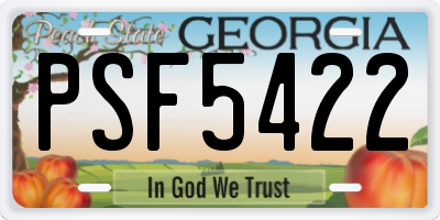 GA license plate PSF5422