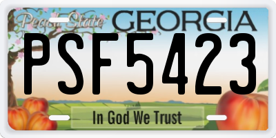 GA license plate PSF5423