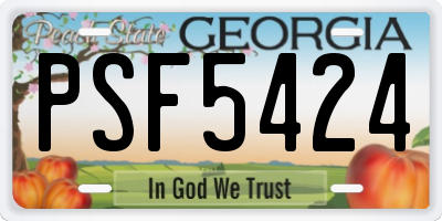 GA license plate PSF5424