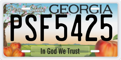 GA license plate PSF5425