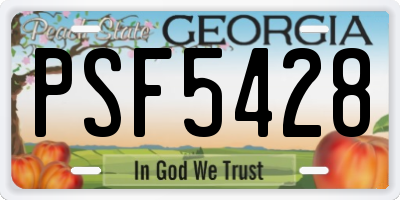 GA license plate PSF5428