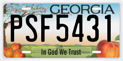 GA license plate PSF5431