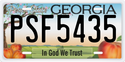 GA license plate PSF5435