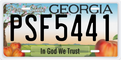 GA license plate PSF5441