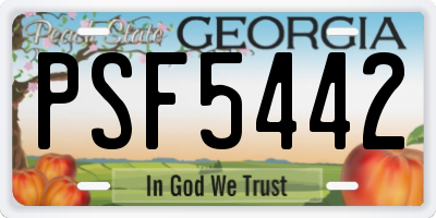 GA license plate PSF5442