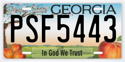 GA license plate PSF5443