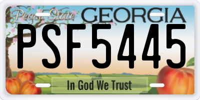 GA license plate PSF5445