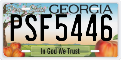GA license plate PSF5446