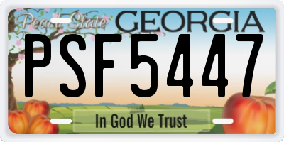 GA license plate PSF5447