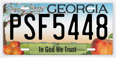 GA license plate PSF5448