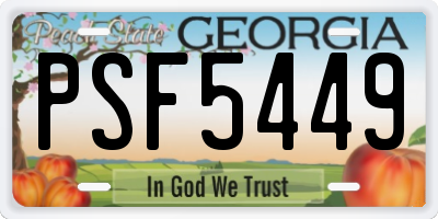 GA license plate PSF5449