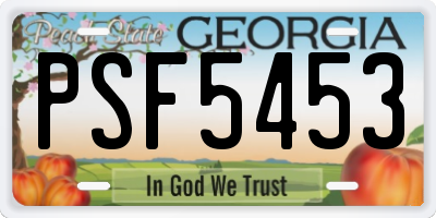 GA license plate PSF5453
