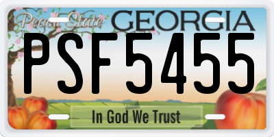 GA license plate PSF5455