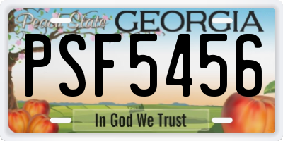 GA license plate PSF5456