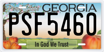GA license plate PSF5460