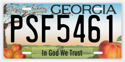 GA license plate PSF5461