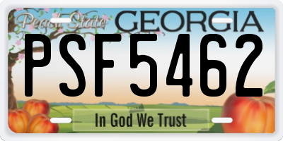 GA license plate PSF5462