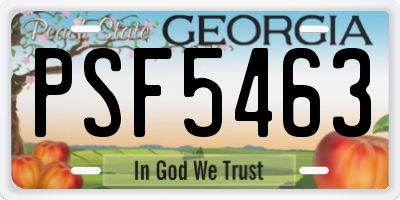 GA license plate PSF5463