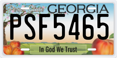 GA license plate PSF5465