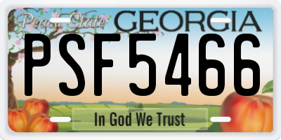GA license plate PSF5466