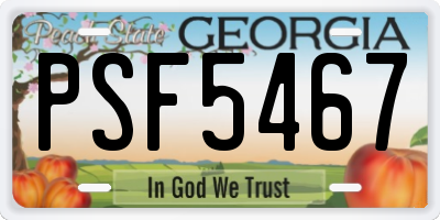 GA license plate PSF5467