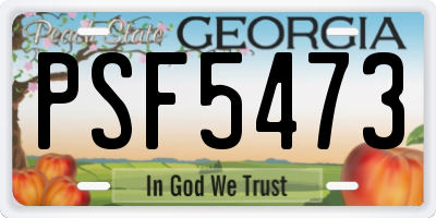 GA license plate PSF5473