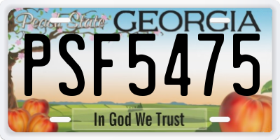 GA license plate PSF5475