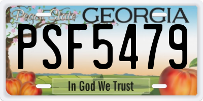 GA license plate PSF5479