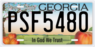 GA license plate PSF5480
