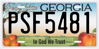GA license plate PSF5481