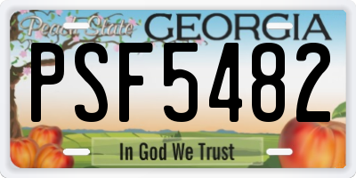 GA license plate PSF5482