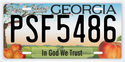 GA license plate PSF5486