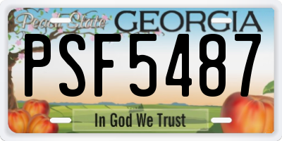 GA license plate PSF5487